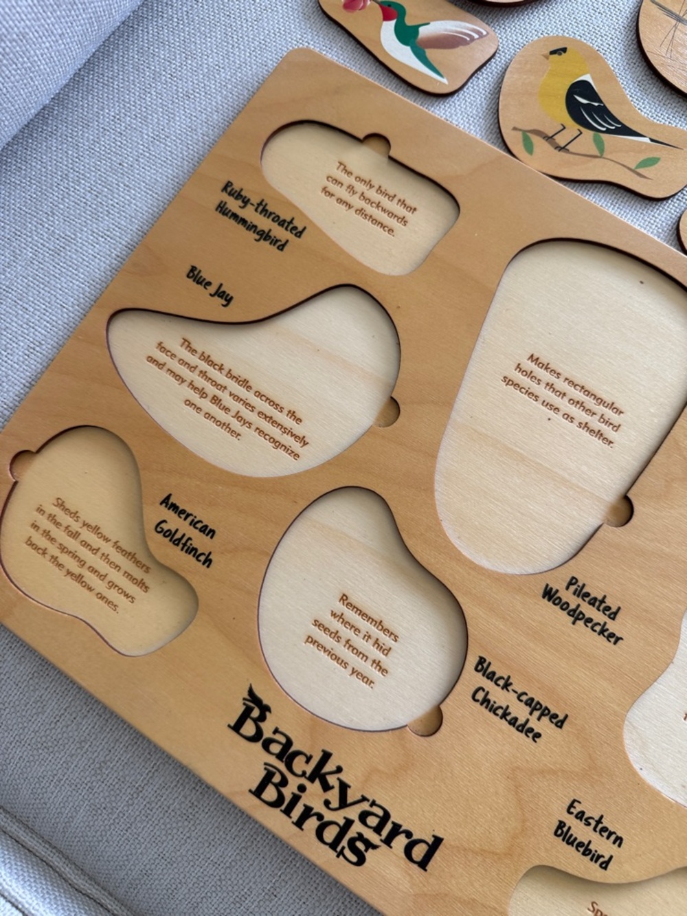 Maple Landmark Lift & Learn Backyard Birds Wooden Puzzle - Picture 10 of 11